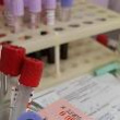 Кровь не водица - она источник информации