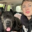Пусть у каждого будет верный друг
