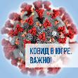 Сообщает Алексей Добровольский
