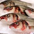 Профилактике природно-очаговых заболеваний посвящен окружной месячник «Гельминтозам скажем: - «Нет!»